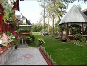 Vila Miris borova Zlatibor CENTAR